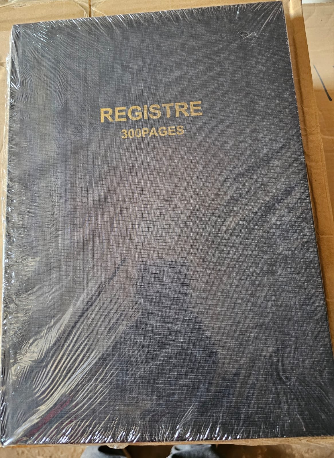 LIVRO DE REGISTRO DE 300 PÁGINAS